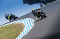 07th-to-9th-January-2019;Phillip-Island;event-digital-images;motorbikes;no-limits;peter-wileman-photography;trackday;trackday-digital-images