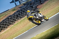 07th-to-9th-January-2019;Phillip-Island;event-digital-images;motorbikes;no-limits;peter-wileman-photography;trackday;trackday-digital-images