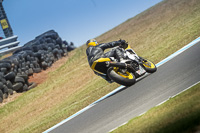 07th-to-9th-January-2019;Phillip-Island;event-digital-images;motorbikes;no-limits;peter-wileman-photography;trackday;trackday-digital-images