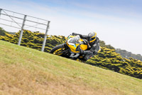 07th-to-9th-January-2019;Phillip-Island;event-digital-images;motorbikes;no-limits;peter-wileman-photography;trackday;trackday-digital-images