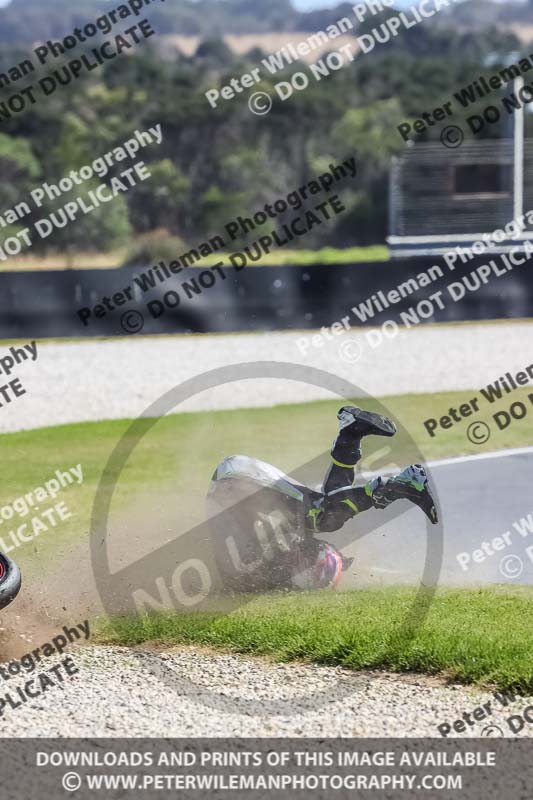 07th to 9th January 2019;Phillip Island;event digital images;motorbikes;no limits;peter wileman photography;trackday;trackday digital images