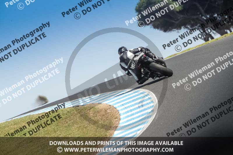 07th to 9th January 2019;Phillip Island;event digital images;motorbikes;no limits;peter wileman photography;trackday;trackday digital images