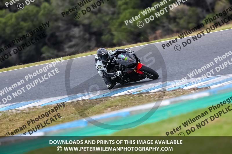 07th to 9th January 2019;Phillip Island;event digital images;motorbikes;no limits;peter wileman photography;trackday;trackday digital images