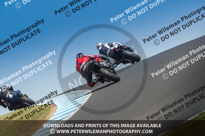 07th to 9th January 2019;Phillip Island;event digital images;motorbikes;no limits;peter wileman photography;trackday;trackday digital images