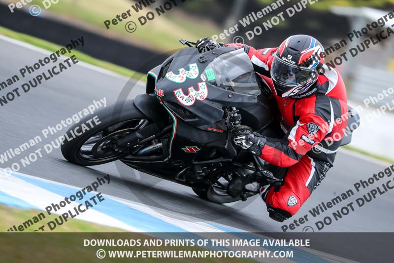 07th to 9th January 2019;Phillip Island;event digital images;motorbikes;no limits;peter wileman photography;trackday;trackday digital images