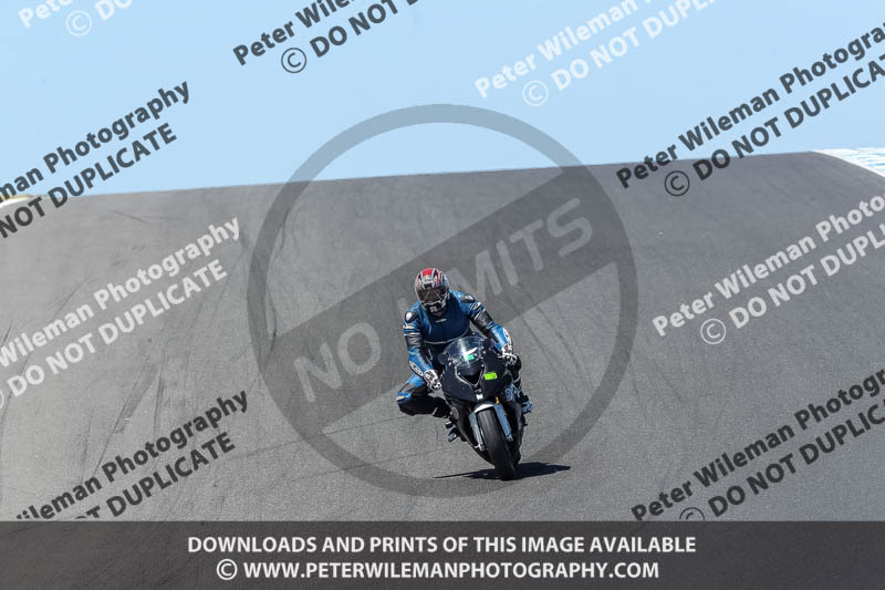 07th to 9th January 2019;Phillip Island;event digital images;motorbikes;no limits;peter wileman photography;trackday;trackday digital images