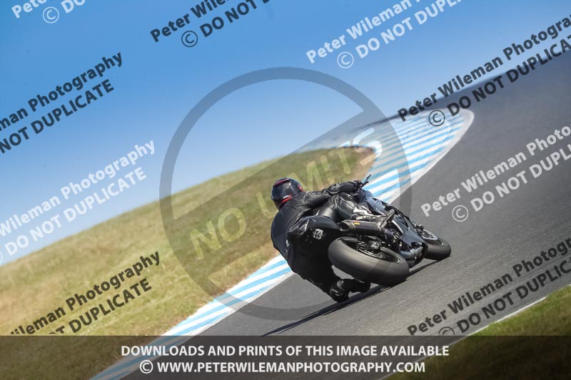 07th to 9th January 2019;Phillip Island;event digital images;motorbikes;no limits;peter wileman photography;trackday;trackday digital images