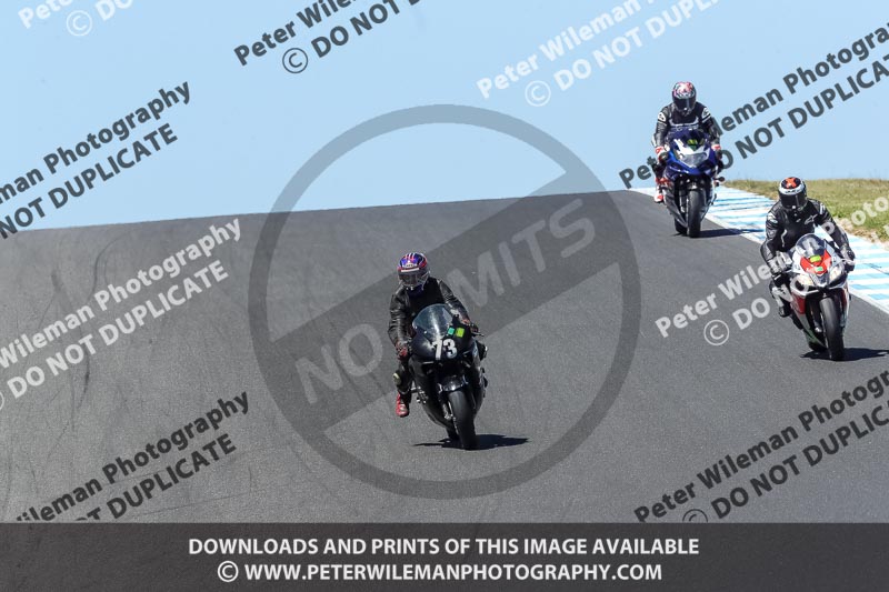 07th to 9th January 2019;Phillip Island;event digital images;motorbikes;no limits;peter wileman photography;trackday;trackday digital images