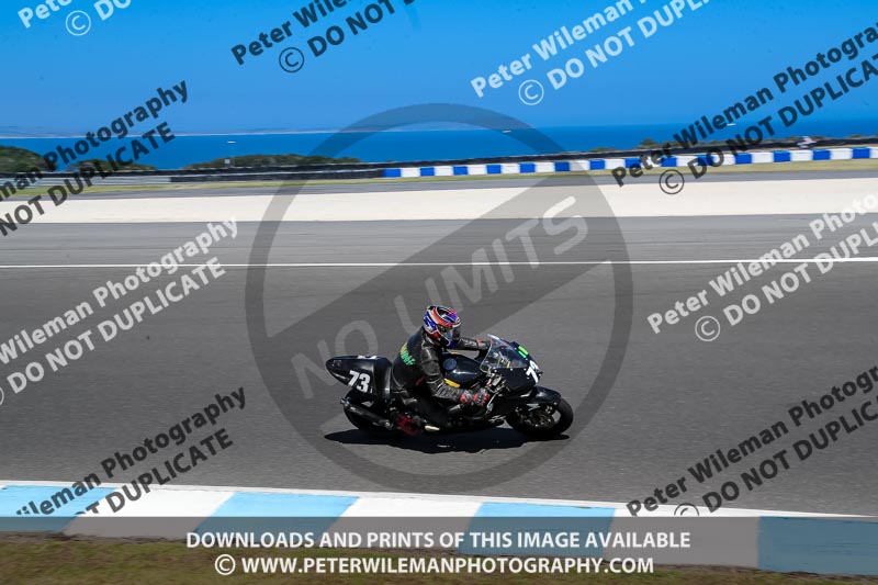 07th to 9th January 2019;Phillip Island;event digital images;motorbikes;no limits;peter wileman photography;trackday;trackday digital images