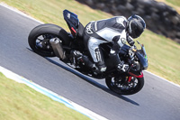 07th-to-9th-January-2019;Phillip-Island;event-digital-images;motorbikes;no-limits;peter-wileman-photography;trackday;trackday-digital-images