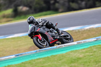 07th-to-9th-January-2019;Phillip-Island;event-digital-images;motorbikes;no-limits;peter-wileman-photography;trackday;trackday-digital-images