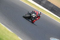 07th-to-9th-January-2019;Phillip-Island;event-digital-images;motorbikes;no-limits;peter-wileman-photography;trackday;trackday-digital-images