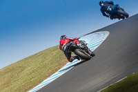 07th-to-9th-January-2019;Phillip-Island;event-digital-images;motorbikes;no-limits;peter-wileman-photography;trackday;trackday-digital-images