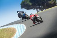 07th-to-9th-January-2019;Phillip-Island;event-digital-images;motorbikes;no-limits;peter-wileman-photography;trackday;trackday-digital-images