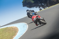 07th-to-9th-January-2019;Phillip-Island;event-digital-images;motorbikes;no-limits;peter-wileman-photography;trackday;trackday-digital-images