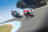 07th-to-9th-January-2019;Phillip-Island;event-digital-images;motorbikes;no-limits;peter-wileman-photography;trackday;trackday-digital-images