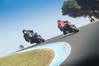 07th-to-9th-January-2019;Phillip-Island;event-digital-images;motorbikes;no-limits;peter-wileman-photography;trackday;trackday-digital-images