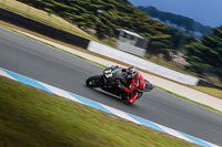 07th-to-9th-January-2019;Phillip-Island;event-digital-images;motorbikes;no-limits;peter-wileman-photography;trackday;trackday-digital-images