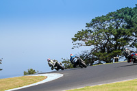 07th-to-9th-January-2019;Phillip-Island;event-digital-images;motorbikes;no-limits;peter-wileman-photography;trackday;trackday-digital-images