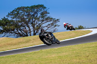 07th-to-9th-January-2019;Phillip-Island;event-digital-images;motorbikes;no-limits;peter-wileman-photography;trackday;trackday-digital-images