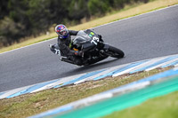 07th-to-9th-January-2019;Phillip-Island;event-digital-images;motorbikes;no-limits;peter-wileman-photography;trackday;trackday-digital-images