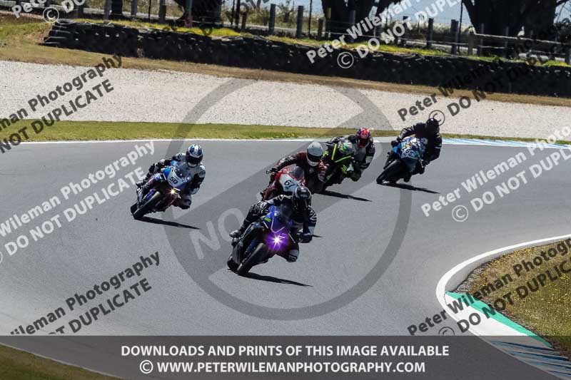 07th to 9th January 2019;Phillip Island;event digital images;motorbikes;no limits;peter wileman photography;trackday;trackday digital images