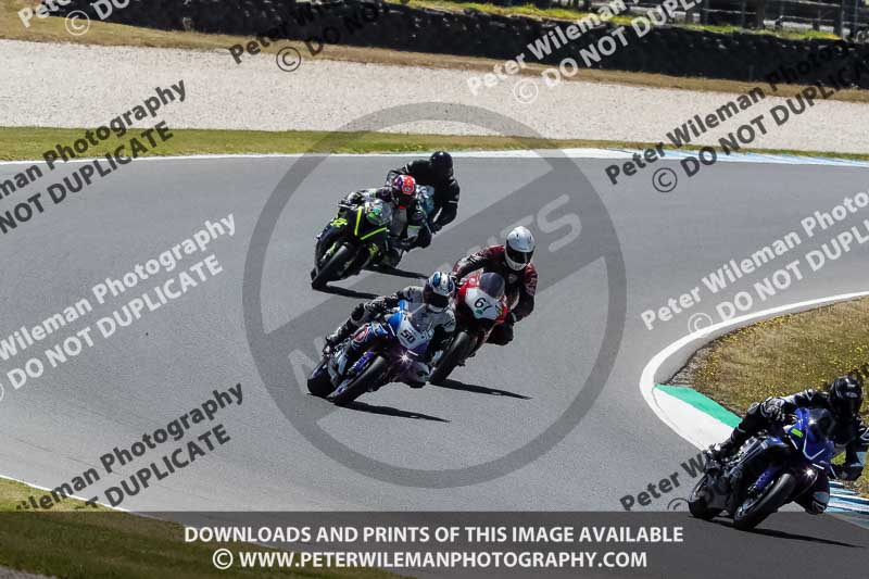 07th to 9th January 2019;Phillip Island;event digital images;motorbikes;no limits;peter wileman photography;trackday;trackday digital images