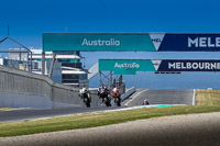 07th-to-9th-January-2019;Phillip-Island;event-digital-images;motorbikes;no-limits;peter-wileman-photography;trackday;trackday-digital-images