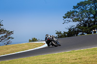 07th-to-9th-January-2019;Phillip-Island;event-digital-images;motorbikes;no-limits;peter-wileman-photography;trackday;trackday-digital-images