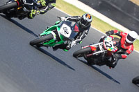 07th-to-9th-January-2019;Phillip-Island;event-digital-images;motorbikes;no-limits;peter-wileman-photography;trackday;trackday-digital-images