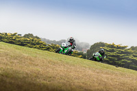 07th-to-9th-January-2019;Phillip-Island;event-digital-images;motorbikes;no-limits;peter-wileman-photography;trackday;trackday-digital-images