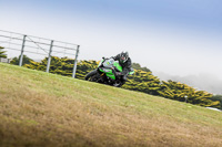 07th-to-9th-January-2019;Phillip-Island;event-digital-images;motorbikes;no-limits;peter-wileman-photography;trackday;trackday-digital-images