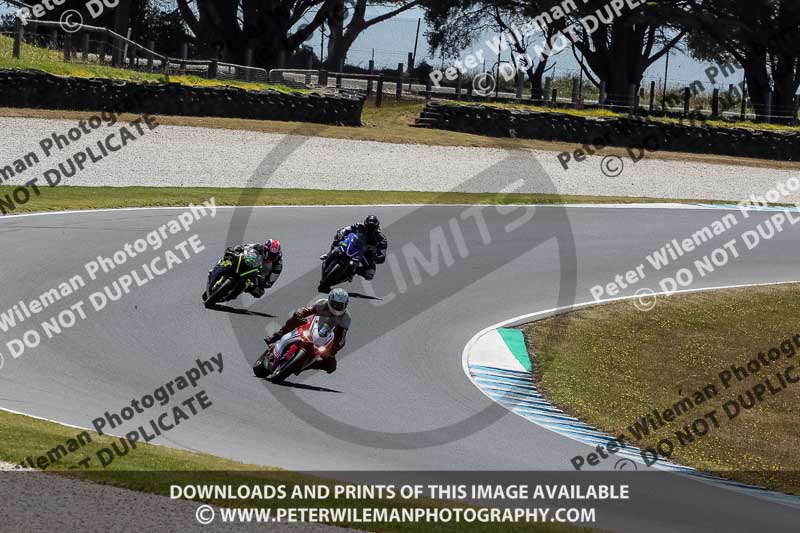 07th to 9th January 2019;Phillip Island;event digital images;motorbikes;no limits;peter wileman photography;trackday;trackday digital images