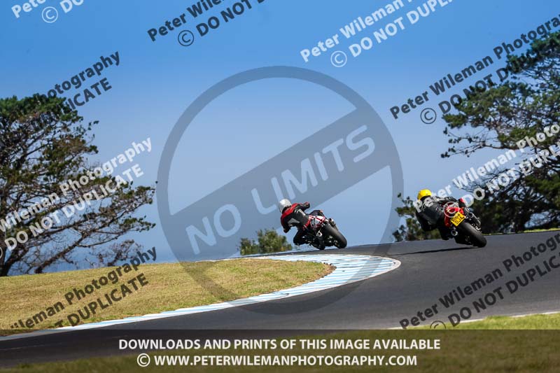 07th to 9th January 2019;Phillip Island;event digital images;motorbikes;no limits;peter wileman photography;trackday;trackday digital images