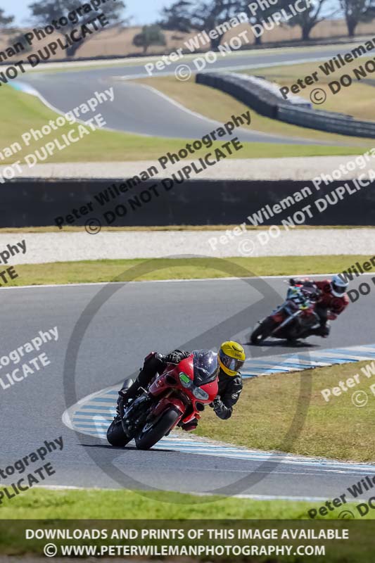 07th to 9th January 2019;Phillip Island;event digital images;motorbikes;no limits;peter wileman photography;trackday;trackday digital images