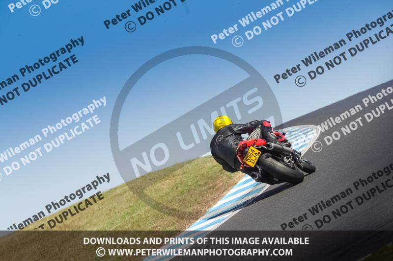 07th to 9th January 2019;Phillip Island;event digital images;motorbikes;no limits;peter wileman photography;trackday;trackday digital images