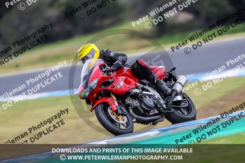 07th to 9th January 2019;Phillip Island;event digital images;motorbikes;no limits;peter wileman photography;trackday;trackday digital images