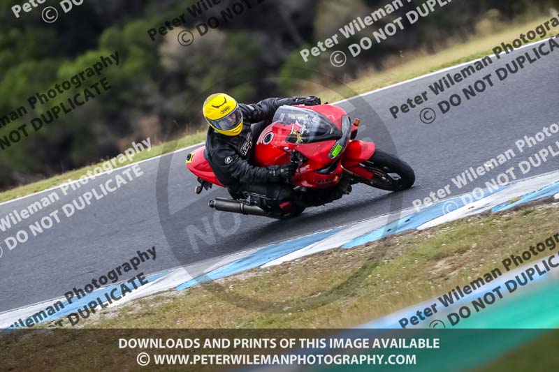 07th to 9th January 2019;Phillip Island;event digital images;motorbikes;no limits;peter wileman photography;trackday;trackday digital images