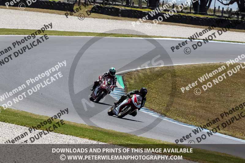 07th to 9th January 2019;Phillip Island;event digital images;motorbikes;no limits;peter wileman photography;trackday;trackday digital images