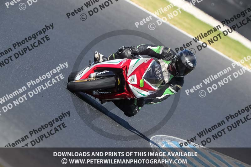 07th to 9th January 2019;Phillip Island;event digital images;motorbikes;no limits;peter wileman photography;trackday;trackday digital images