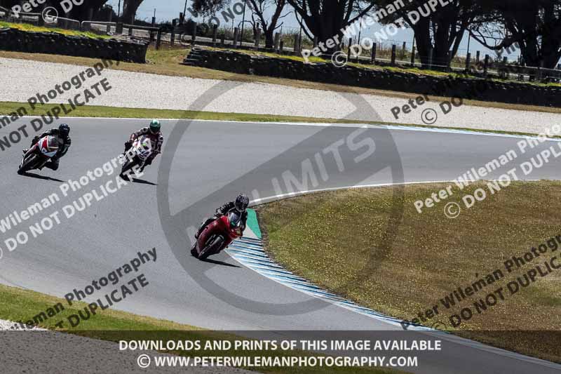 07th to 9th January 2019;Phillip Island;event digital images;motorbikes;no limits;peter wileman photography;trackday;trackday digital images