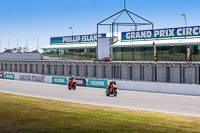 07th-to-9th-January-2019;Phillip-Island;event-digital-images;motorbikes;no-limits;peter-wileman-photography;trackday;trackday-digital-images