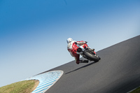 07th-to-9th-January-2019;Phillip-Island;event-digital-images;motorbikes;no-limits;peter-wileman-photography;trackday;trackday-digital-images