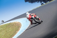 07th-to-9th-January-2019;Phillip-Island;event-digital-images;motorbikes;no-limits;peter-wileman-photography;trackday;trackday-digital-images