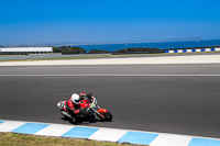 07th-to-9th-January-2019;Phillip-Island;event-digital-images;motorbikes;no-limits;peter-wileman-photography;trackday;trackday-digital-images