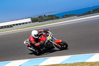 07th-to-9th-January-2019;Phillip-Island;event-digital-images;motorbikes;no-limits;peter-wileman-photography;trackday;trackday-digital-images