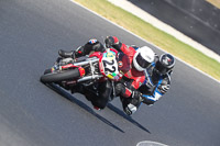 07th-to-9th-January-2019;Phillip-Island;event-digital-images;motorbikes;no-limits;peter-wileman-photography;trackday;trackday-digital-images