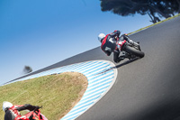 07th-to-9th-January-2019;Phillip-Island;event-digital-images;motorbikes;no-limits;peter-wileman-photography;trackday;trackday-digital-images