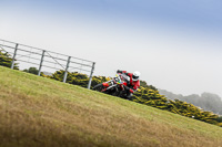 07th-to-9th-January-2019;Phillip-Island;event-digital-images;motorbikes;no-limits;peter-wileman-photography;trackday;trackday-digital-images