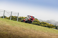 07th-to-9th-January-2019;Phillip-Island;event-digital-images;motorbikes;no-limits;peter-wileman-photography;trackday;trackday-digital-images